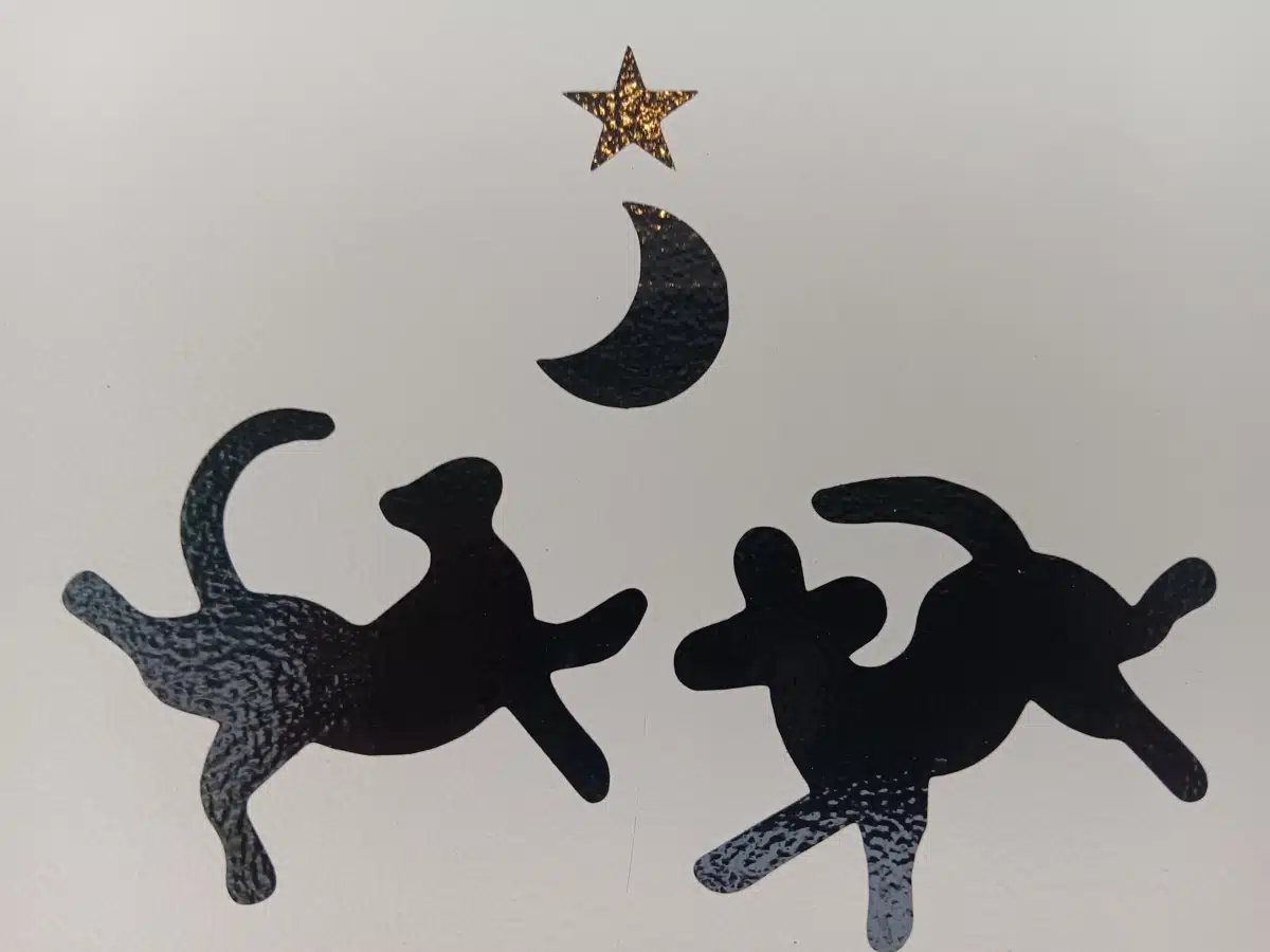 Center for Behavioral Emergency and