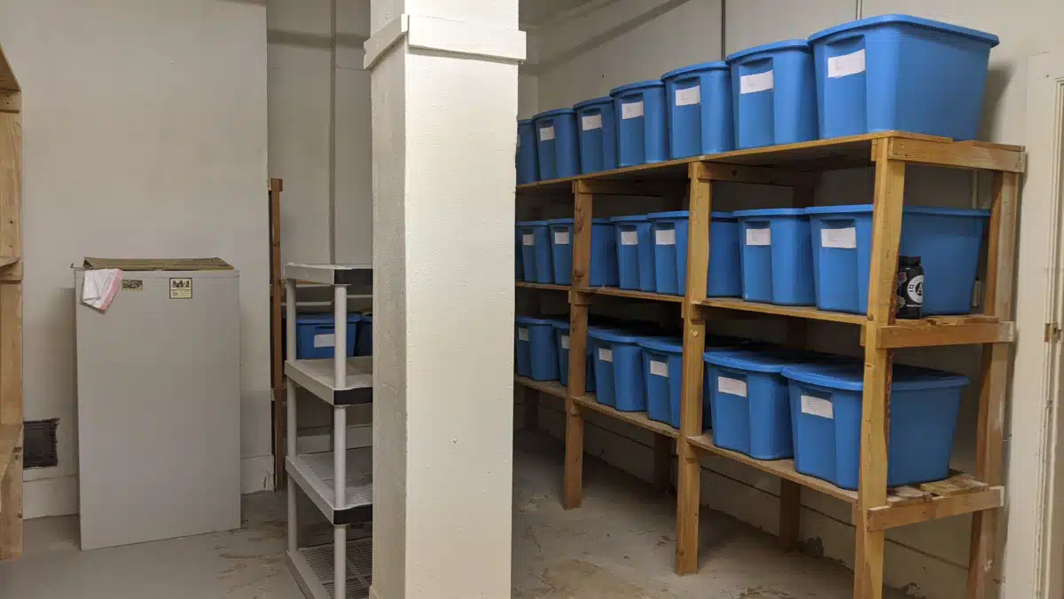 YWCA Helena - Preview